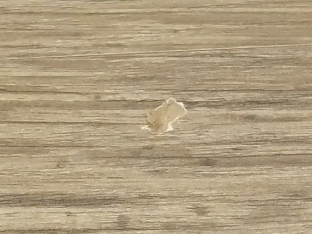 スマホを落としてできた床のへこみ補修